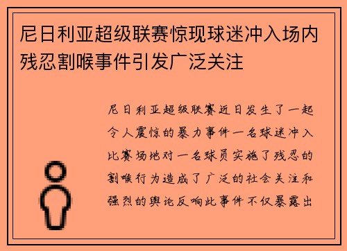 尼日利亚超级联赛惊现球迷冲入场内残忍割喉事件引发广泛关注